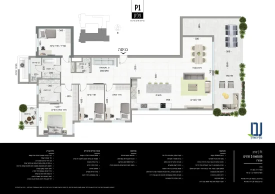 P1 פנטהאוז 5 חדרים צפון